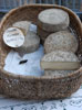 tomes de Savoie