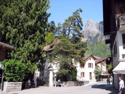 La Jaysinia
