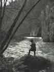 Dans les gorges du  Borne