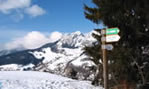 Aravis
