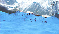 Piste de ski aux Grands Montets Argentières