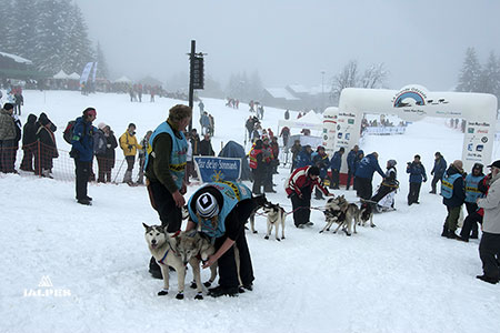 Contrôle vétérinaire