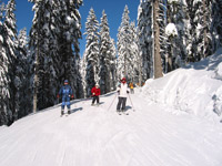 skieurs