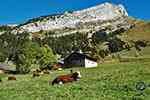Alpage dans les Aravis, Haute-Savoie