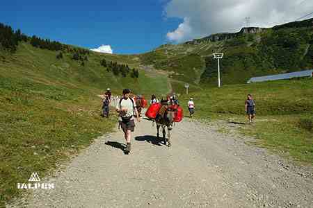 randonnée avec les anes en Haute-Savoie