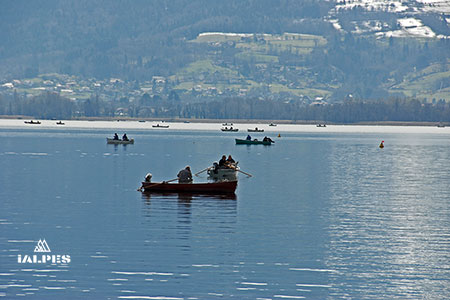 Barques de pêcheurs sur le larc d'Annecy