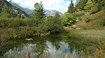 Jardin alpin Vallorcine, Haute-Savoie