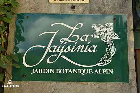 Jardin botanique La Jaÿsinia, Samoëns