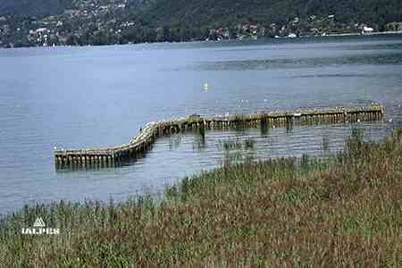 Réserve du Bout du Lac, Douusard
