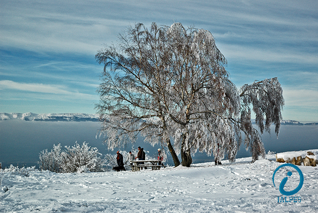 Paysage hivernal au Salève, Haute-Savoie
