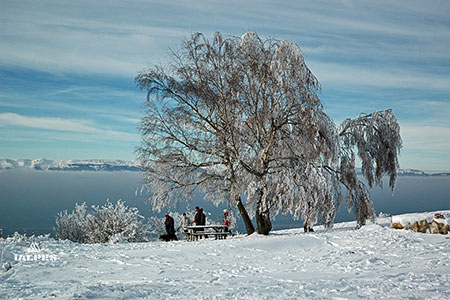 Paysage hivernal sur le lac Léman