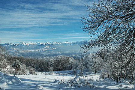 Vallée de l'Arve en hiver depuis le Salève